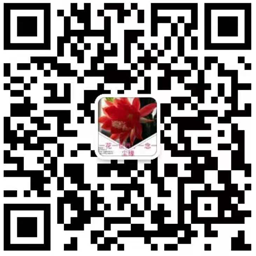 掃一掃，關(guān)注我們最新消息
